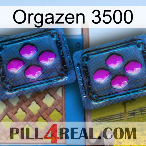 Orgazen 3500 03.jpg